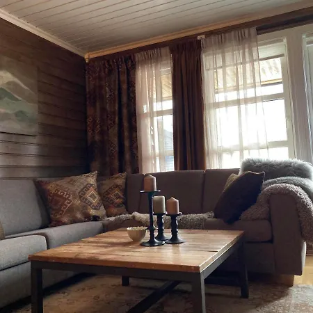 Appartement Lun Og Koselig Med Sauna Pa Filefjell Tyinkrysset