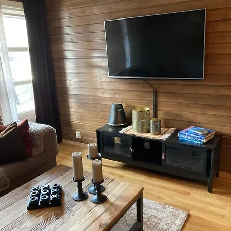 Lun Og Koselig Med Sauna Pa Filefjell *
