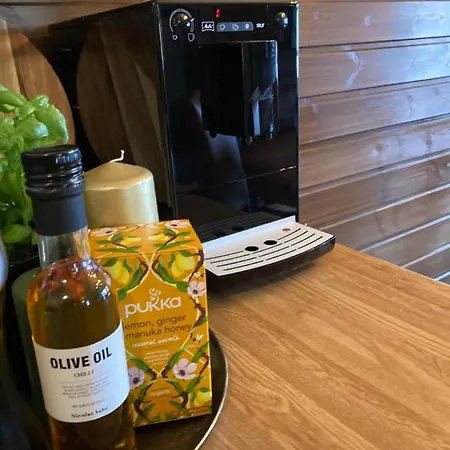 Lun Og Koselig Med Sauna Pa Filefjell