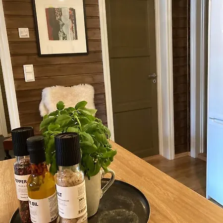 Lun Og Koselig Med Sauna Pa Filefjell *