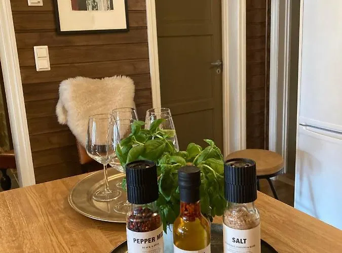 Appartement Lun Og Koselig Med Sauna Pa Filefjell *