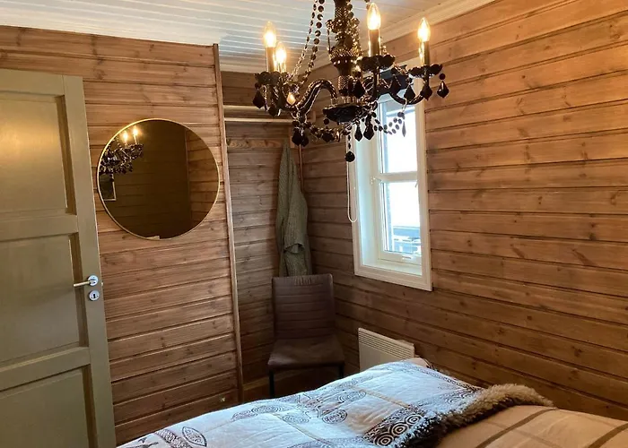 Lun Og Koselig Med Sauna Pa Filefjell *