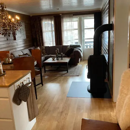 Lun Og Koselig Med Sauna Pa Filefjell