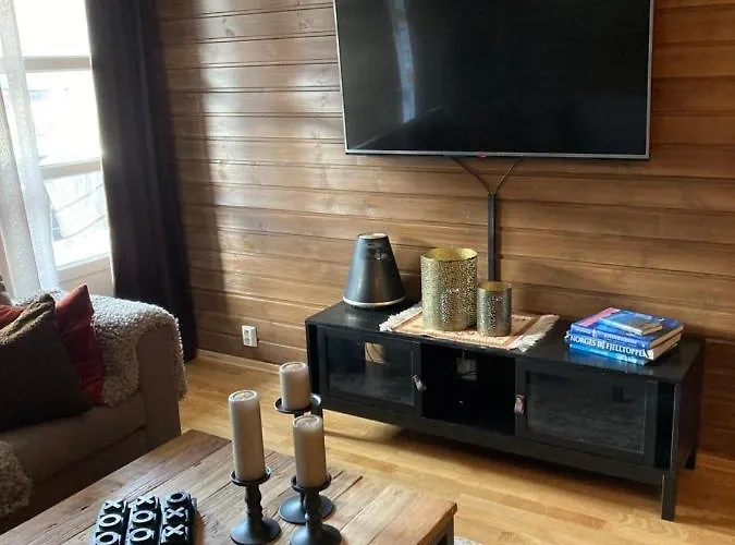 Lun Og Koselig Med Sauna Pa Filefjell *