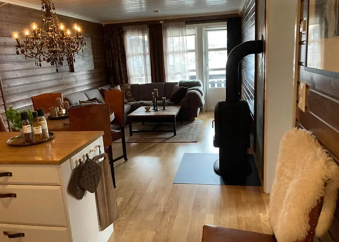 Lun Og Koselig Med Sauna Pa Filefjell