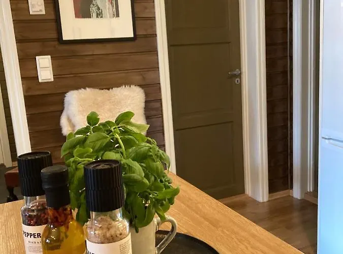 Lun Og Koselig Med Sauna Pa Filefjell *